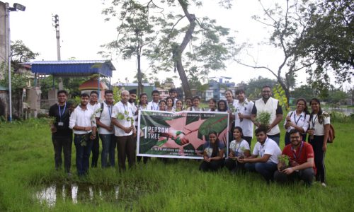 Tree Plantation 1