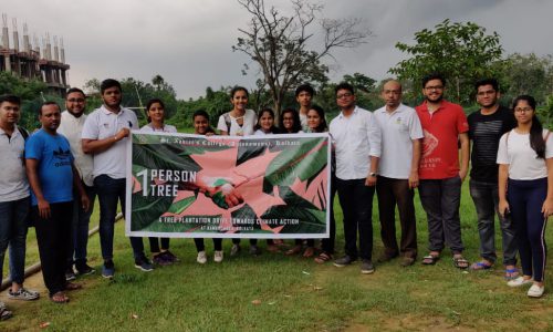 Tree Plantation 2